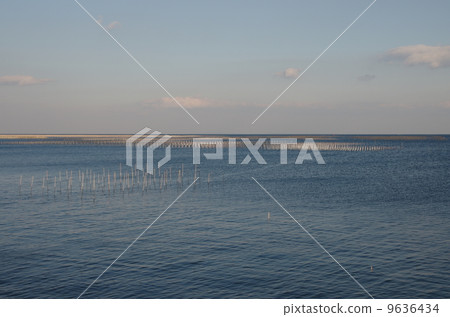 Seaweed covered sea ocean Seaweed covered sea ocean 9636434