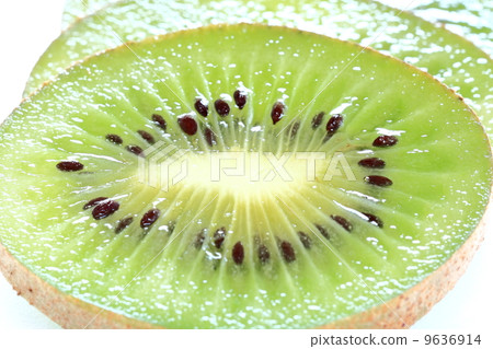 Kiwi  9636914