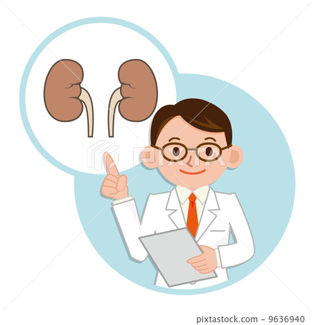 Doctor explaining the kidneys Doctor explaining the kidneys 9636940