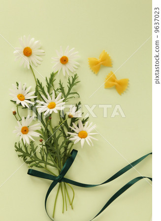 白花 9637023