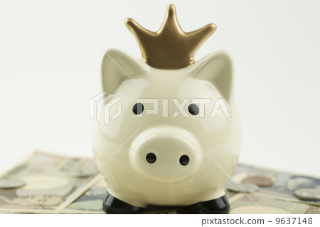 White pig's piggy bank 9637148