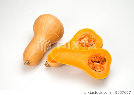 Butter nuts Butter nuts 9637667