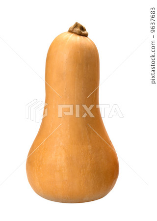 黃油堅果 黃油堅果 9637683