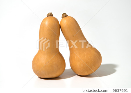 Butter nuts 9637691