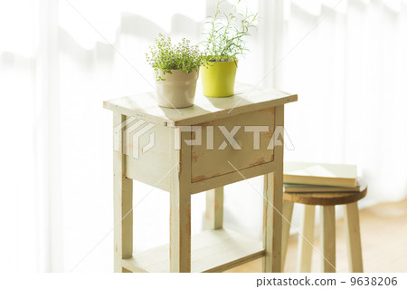 盆栽植物放在客廳裡 9638206