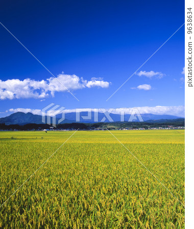 鄉村風光和藏王 9638634