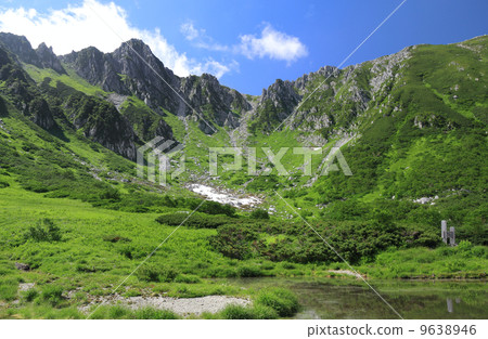 Senjakikikaru 9638946