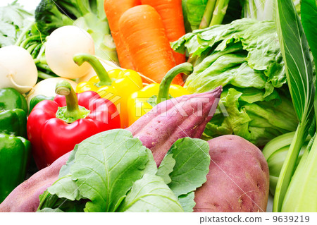 Vegetables Vegetables 9639219