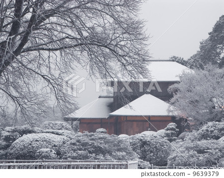 Sakon的櫻花和Yoshimatei（Kairakuen）的雪景〜橫切 9639379