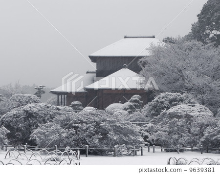 Yukimotei of Snow (Kairakuen) ~ Horizontal cut 9639381