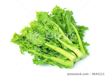 食用油菜花 食用油菜花 9640121