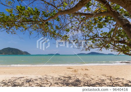Tropical beach landscape 9640416