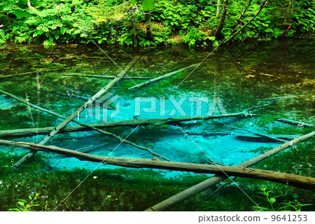 God's Pond God's Pond 9641253