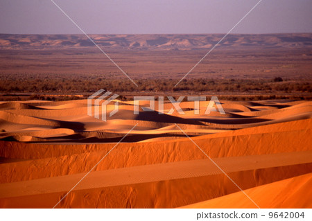 Occidental desert sand dunes Occidental desert sand dunes 9642004