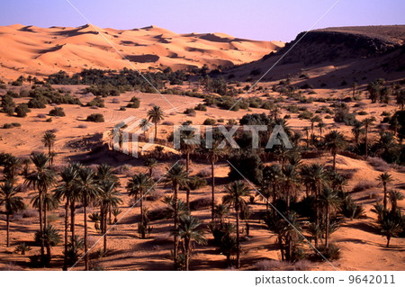 Oasis of Talito Oasis of Talito 9642011