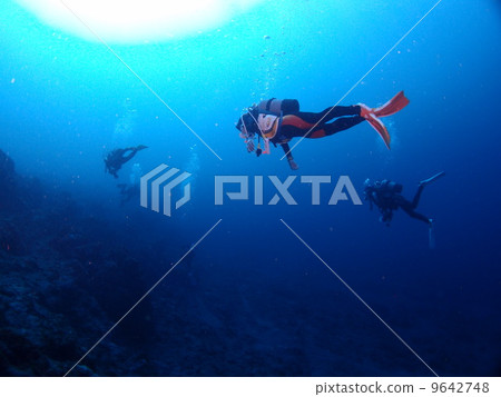 Hachijo Is. Diving 9642748