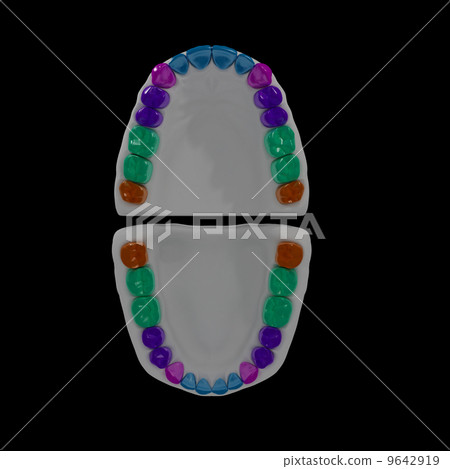 3d dental notation permanent teeth 9642919