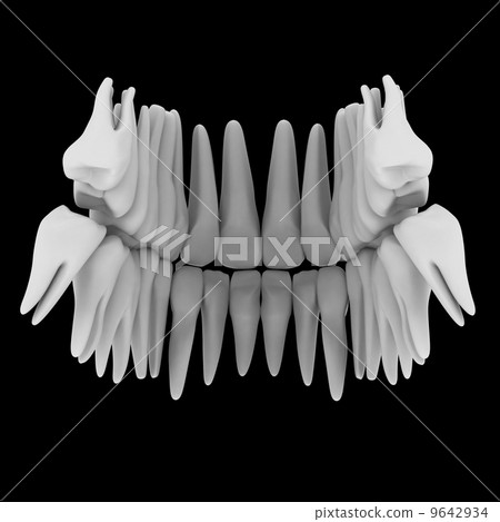 3d image of white teeth isolated on black - back view 9642934