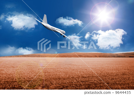 3D plane flying over field 9644435