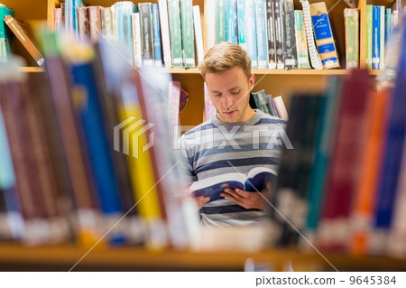 Male student reading a book in the library Male student reading a book in the library 9645384