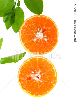 Orange slices on a white background. 9646597