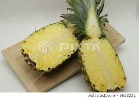 熱帶水果〜菠蘿 熱帶水果〜菠蘿 9658221