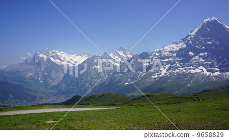 Alps Alps 9658829