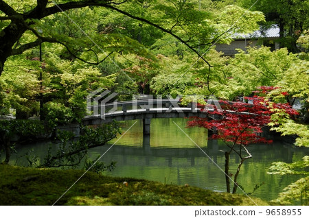Garden view of Kyoto Eikan-do 9658955