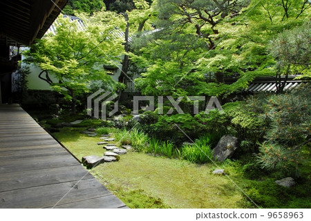 Garden view of Kyoto Eikan-do Garden view of Kyoto Eikan-do 9658963
