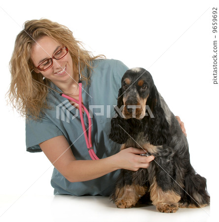 veterinary care 9659692
