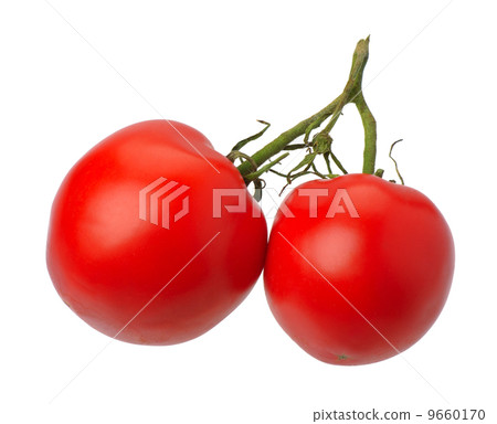Red tomatto, isolated Red tomatto, isolated 9660170