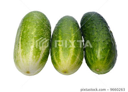 Cucumbers, isolated Cucumbers, isolated 9660263