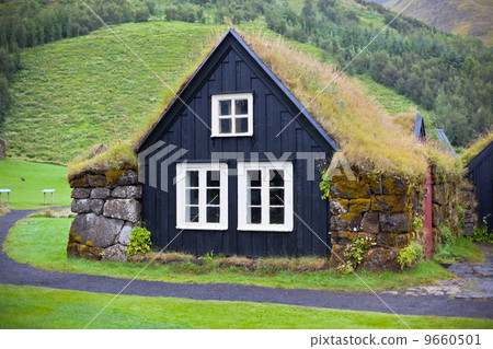 Overgrown Typical Rural Icelandic house at overcast day 9660501