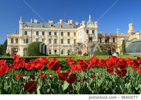 Tulips in front of the Lednice Castle 9660877
