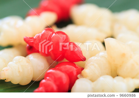 甘露子 9660986