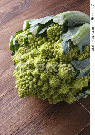 Romanesco Romanesco 9661197