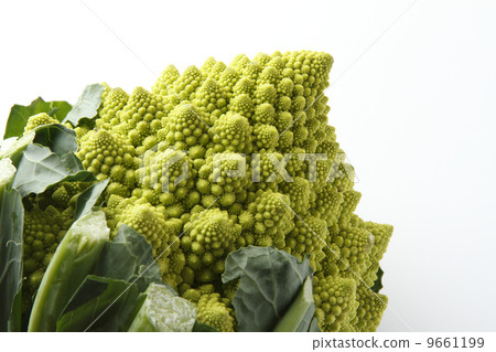Romanesco Romanesco 9661199