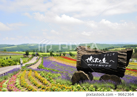 埃爾維斯山 9662364