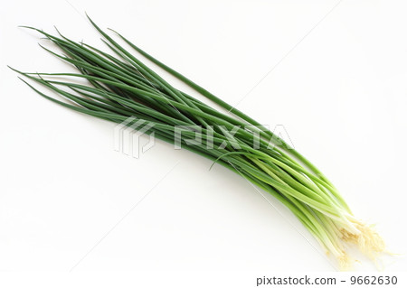 Blue onion 9662630