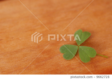 Heart leaves 9662728