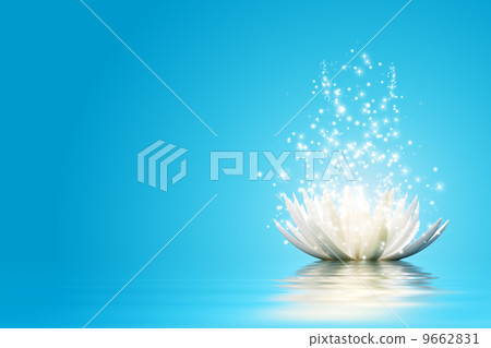 Lotus flower 9662831