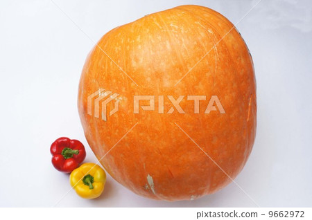 Huge pumpkin and paprika 9662972