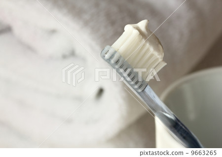 A brush 9663265
