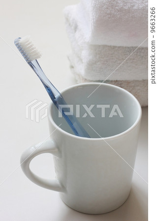 A brush 9663266
