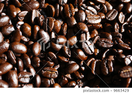 新鮮出爐的咖啡豆 9663429