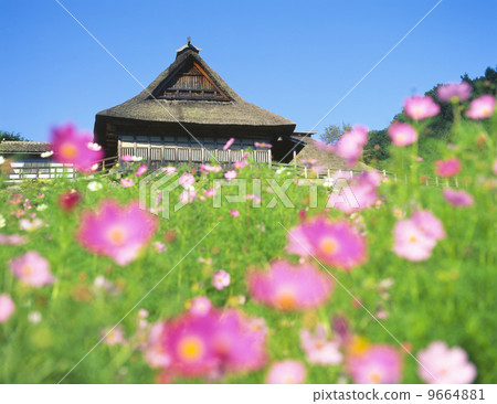 Tono Chiba Family Tono Chiba Family 9664881