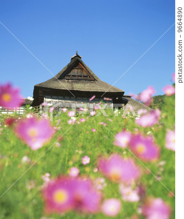 Tono Chiba Family 9664890