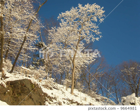 Snow Bell Mt. 9664981