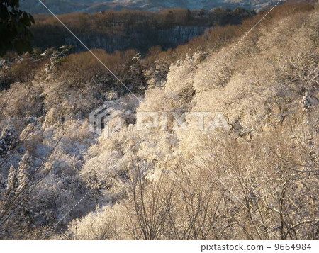Snow makeup (Yushidama / Saitama prefecture Fukaya city) 9664984