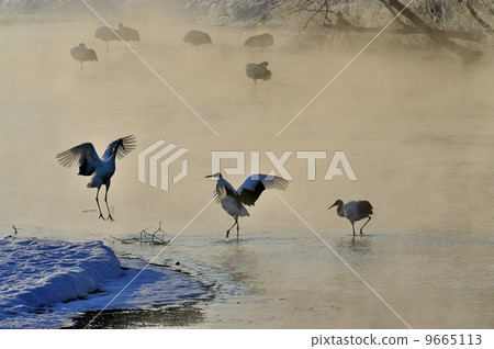 Frozen crane 9665113
